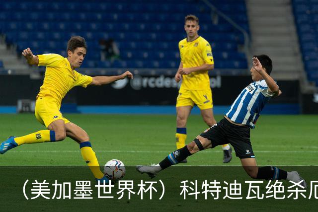 （美加墨世界杯）科特迪瓦绝杀厄瓜多尔 瑞典5:1大胜突尼斯